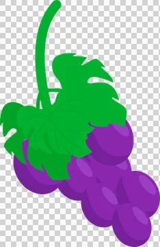 Cluster of purple grapes is glowing in flat vector art with vine and leaves, Stock Illustration