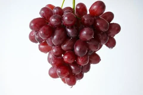 Cluster of red grapes on white background Stock Photos