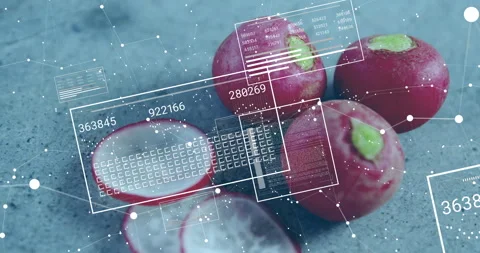 Cluster of red radishes floating on stone surface with wireframe panels and node Stock Footage 309095045
