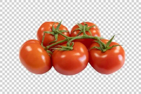 Cluster of red tomatoes, close-up, on a cutting board Stock Photos