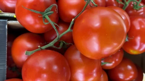 Cluster red tomatoes in crate displayed Stock Footage 279853175