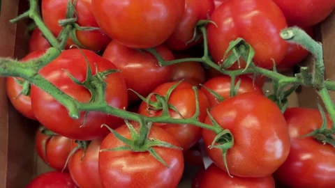Cluster red tomatoes in crate displayed in supermarket Stock Footage 303859988