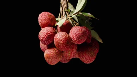 Cluster of Ripe Lychee Fruits with Leaves Rotating in Seamless Loop Against Stock Footage 311031069