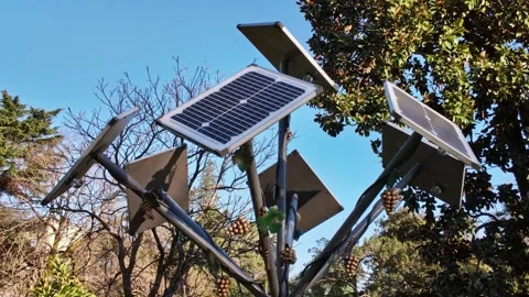 Cluster Of Solar Panels Mounted In Park Stock-Footage 342560694