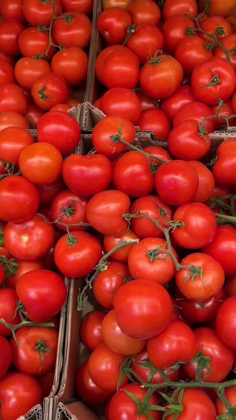 Cluster tomatoes arranged in cardboard boxes at the greengrocer's Stock Footage 328990015