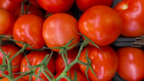 Cluster tomatoes displayed in fruit store Stock Footage 284865978
