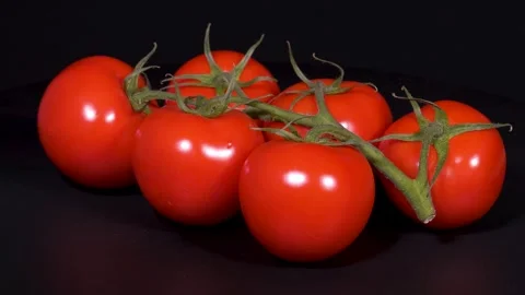 Cluster Tomatoes Stock Footage 331463285
