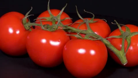 Cluster Tomatoes Stock Footage 332571351