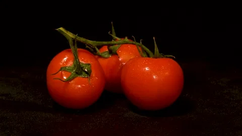 Cluster Tomatoes 스톡 동영상 332710953