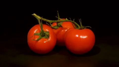 Cluster Tomatoes 스톡 동영상 333199456