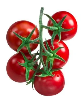 Cluster of tomatoes, paths Stock Photos