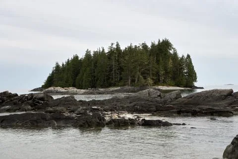 Cluster of trees on small island Foto stock