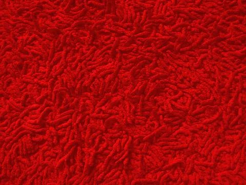 Clustered Bacteria Stock Illustration