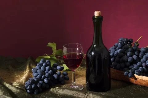 Clusters of dark grapes Stock Photos