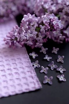 Clusters of lilac flowers on dark surface with textured fabric nearby durin.. Stock Photos