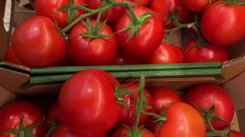 Clusters of ripe red tomatoes in cardboard crates Stock Footage 311737092