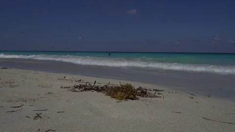 Clusters of seaweed in the middle with continuous waves shifting from blue to 動画素材 305211676