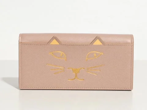 Clutch with a cat face in which the decor moves Stock Footage 80336701
