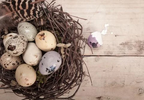 Clutch of speckled easter eggs Stock Photos