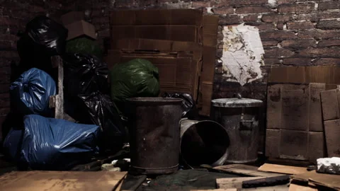 Cluttered storage room filled with waste and cardboard boxes during the day 動画素材 306302591
