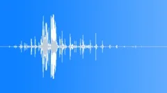 Clydesdale Pass By Run Sound Effect