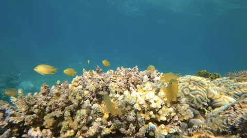 CMFK2145 Stock Footage 128168197