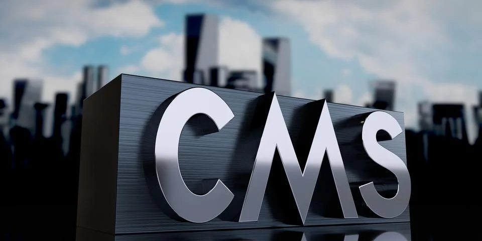 CMS, content management system - metal cuboid and skyscrapers - 3D illustrati Stock Illustration