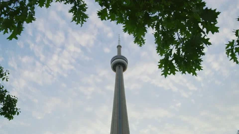 The CN Tower and tree branches Stock Footage 217604833