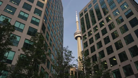 CN Tower emerging between glass buildings and trees Stock-Footage 337400854
