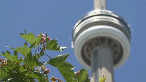 CN Tower in Toronto Video stock 7340670