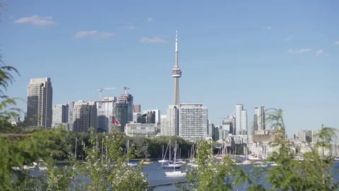 CN Tower Toronto Video stock 114994513