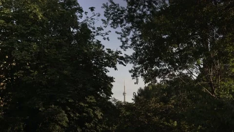 CN Tower of Toronto through the Trees Stock Footage 237292230