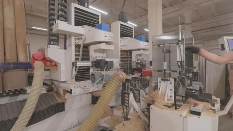 CNC woodworking machine milling a precision edge profile on a wooden board Vídeo Stock 344992152