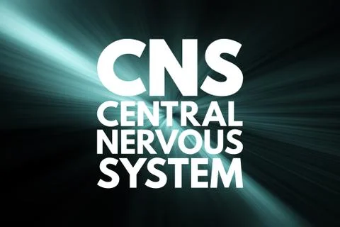 CNS - Central Nervous System acronym, medical concept background Illustrazione stock