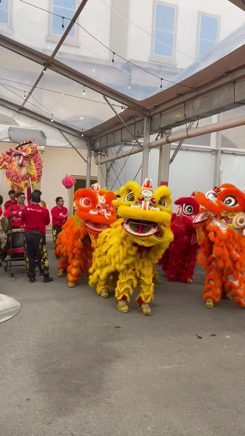 CNY lion dance Stock Footage 305041238