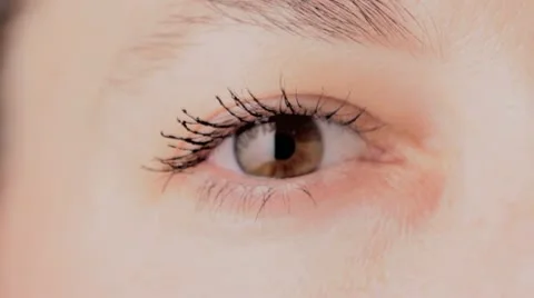 Co STK EyeBrown Stock Footage 11264803