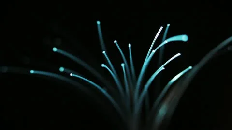 Co STK FiberOptic02 動画素材 11023460