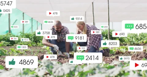 Co-workers kneeling greenhouse digging planting seedlings causing social icons Stock Footage 314094833