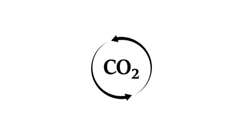 CO2 Icon Isolated on white Background. Stock Footage 307418210