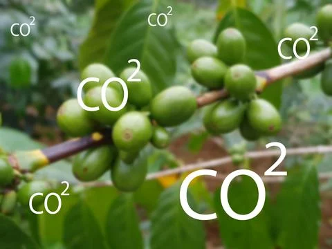 Co2 Foto stock