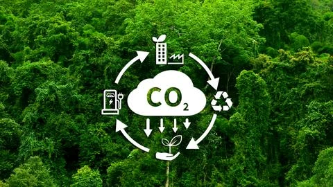 CO2 reducing icon with circular for decrease CO2 , carbon footprint and car.. Stock Photos