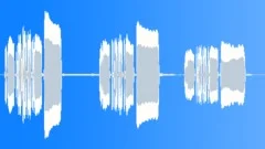 Coach Horn Sounded ThreeSound Effect