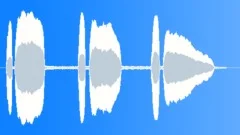 Coach Horn Sounded ThreeSound Effect