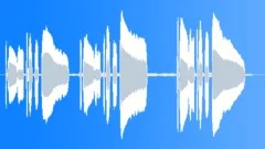 Coach Horn Sounded ThreeSound Effect