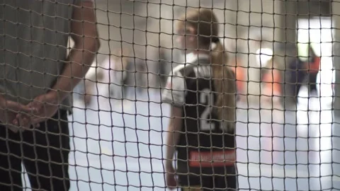Coach making a female player change during a handball match Stock Footage 239677597