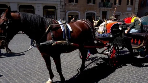 The coach is on the Spanish square in Rome Stock Footage 75091090