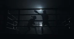 Shadow Boxing. Black Silhouette on a White Background, Sports Stock Footage  ft. alpha & boxer - Envato Elements