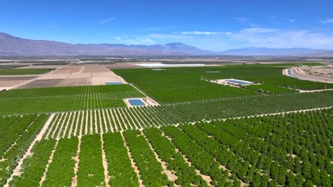 Coachella Valley agricultural fields Stock Footage 338312014