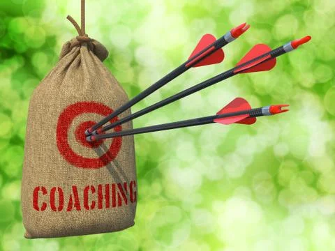 Coaching - Arrows Hit in Target. 库存插图