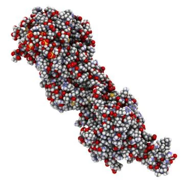 Coagulation factor ixa (fixa), crystal structure. hereditary deficiency cause Stock Illustration